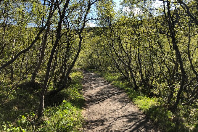 Diamond Circle Day Tour from Akureyri - Selfoss Waterfall and Vatnajokull National Park