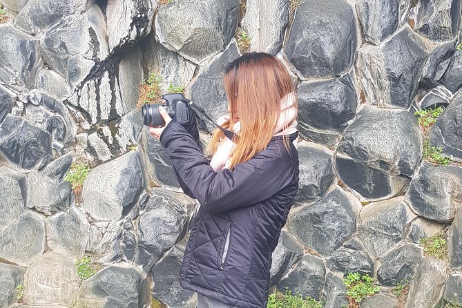 Diamond Circle, Waterfalls and Amazing Landscapes from Akureyri - Ásbyrgi Canyon and Hljodaklettar Views