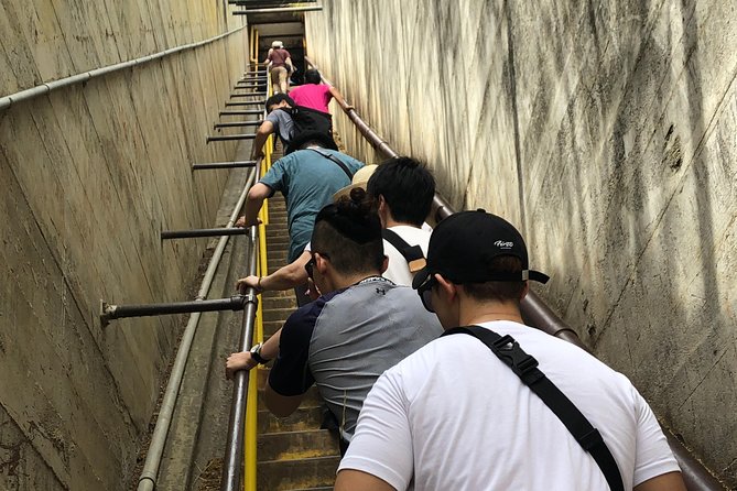Diamond Head Bike to Hike and Local Lunch - Climbing Diamond Head Crater on Foot