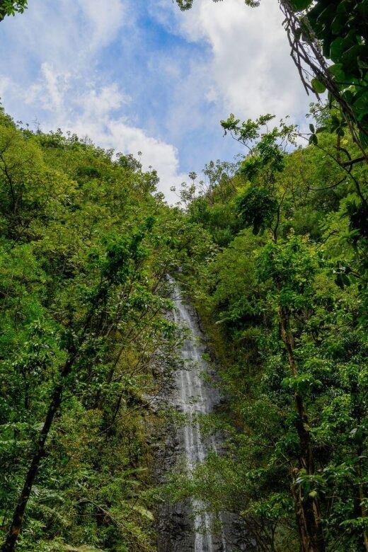 Diamond Head Manoa Falls - Pricing, Value, and Booking Flexibility