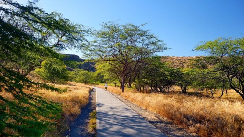 Diamond Head Manoa Falls - Who Should Consider This Tour