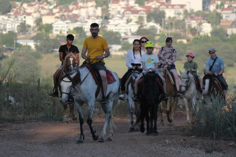 Didim Horse Safari - The Horses and Their Training