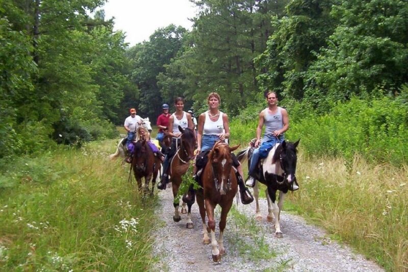 Didim Horse Safari - The Guided Instruction and Safety Measures