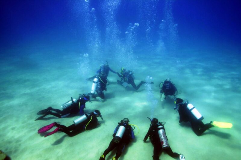 Didim: Scuba Diving Experience w/Hotel Pickup & Lunch - The Lunch and Additional Costs
