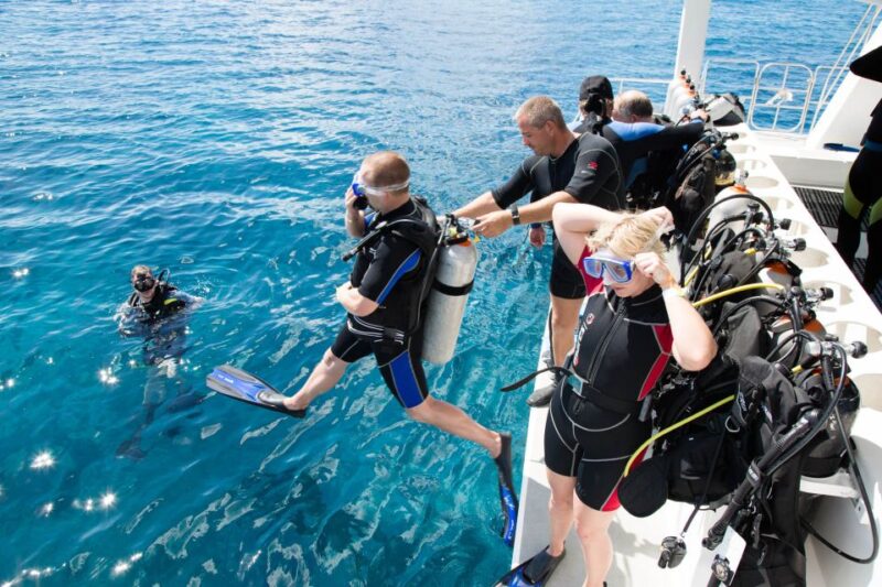 Didim: Scuba Diving Experience w/Hotel Pickup & Lunch - Physical Requirements and Restrictions