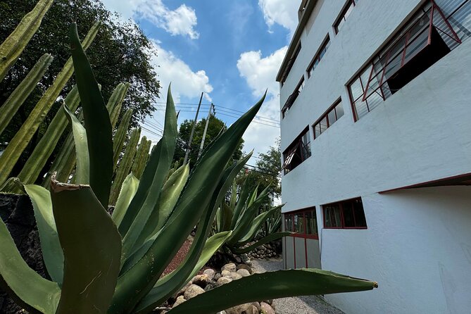 Diego Rivera Frida Kahlo Studio House Tour - Practical Details and Group Experience
