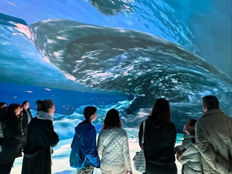 Digital Experience Museum Skip-the-Line Entry - Interactive Exhibits Suitable for All Ages and Interests