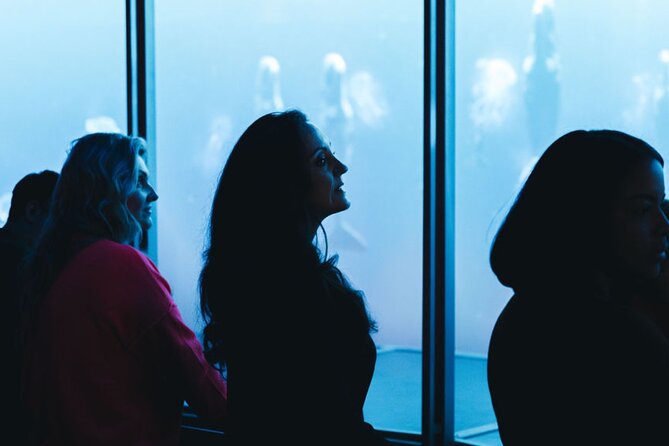 Digital Ocean Adventure in Sevierville - Key Points