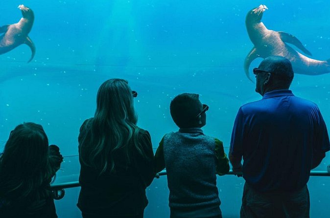 Digital Ocean Adventure in Sevierville - Accessibility and Meeting Arrangements