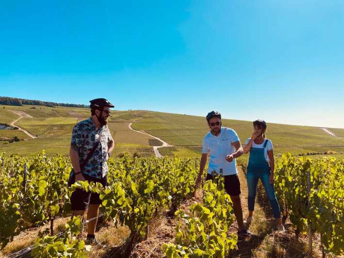 Dijon/Beaune: Full day Ebike Burgundy tour, tastings & lunch - Explore Burgundy by E-Bike, Wine, and Gourmet Lunch for $257