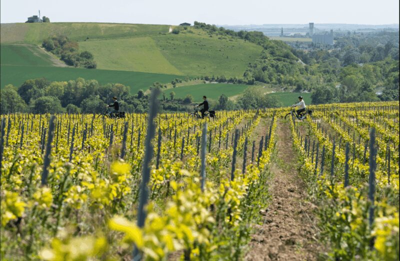 Dijon/Beaune: Full day Ebike Burgundy tour, tastings & lunch - Visiting the Pommard and Meursault Vineyards