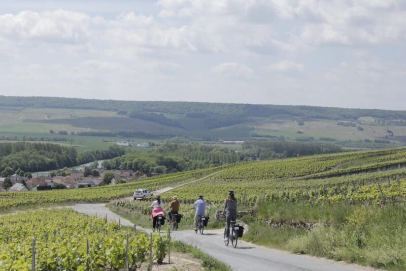 Dijon/Beaune: Full day Ebike Burgundy tour, tastings & lunch - Who Will Enjoy This Burgundy E-Bike Tour?