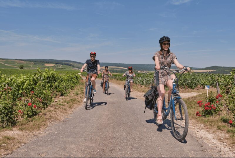 Dijon/Beaune: Full day Ebike Burgundy tour, tastings & lunch - Why This Tour Stands Out From Others