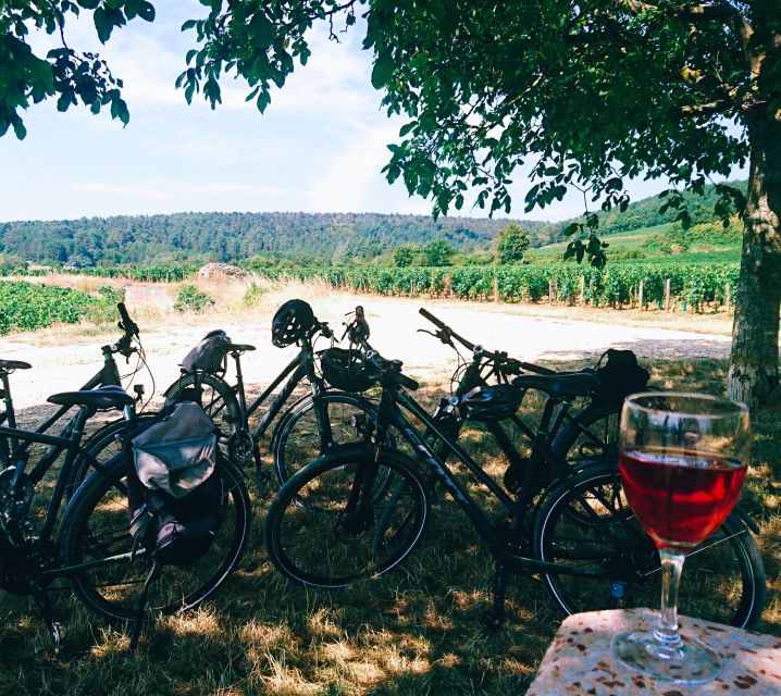 Dijon: Bike tour and Tastings in the Vineyards of Burgundy - Vineyard Tastings and Local Delights