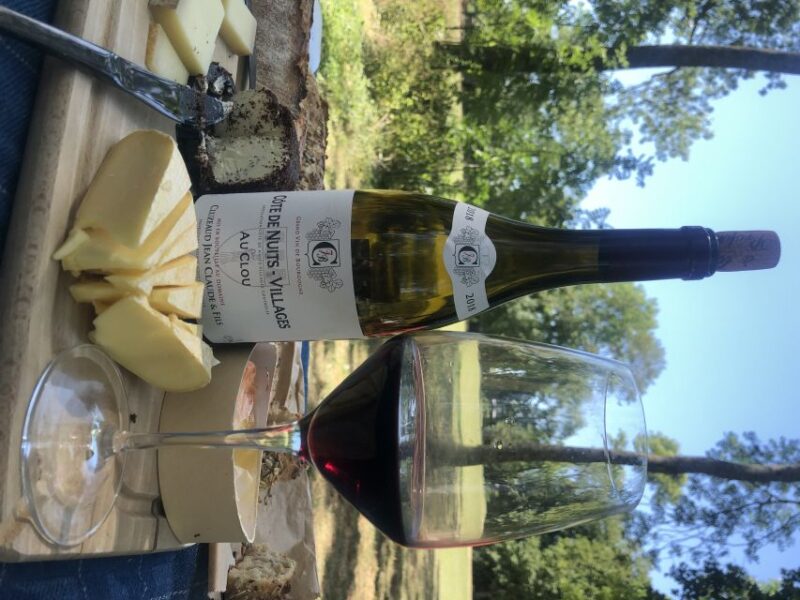 Dijon: Cheese and Burgundy Wine Tasting Workshop - Accessibility and Flexibility of the Experience