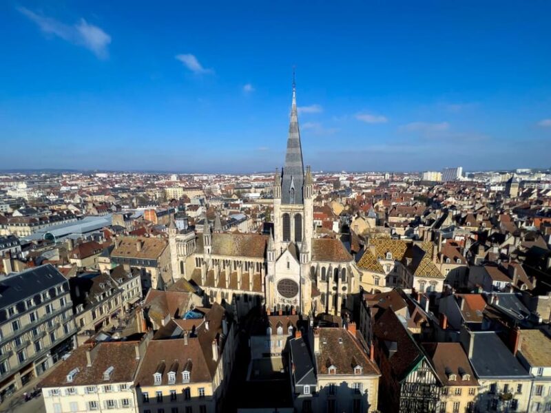 Dijon: Express Walk with a Local in 60 minutes - Who Will Appreciate This Dijon Walk?