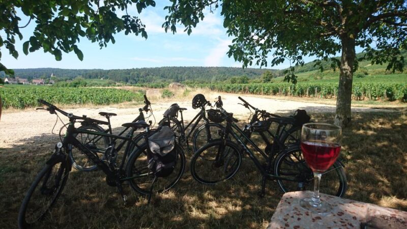 Dijon: Half-Day Guided Gourmet Bike Tour - Burgundy’s Scenic Vineyard Cycling Route