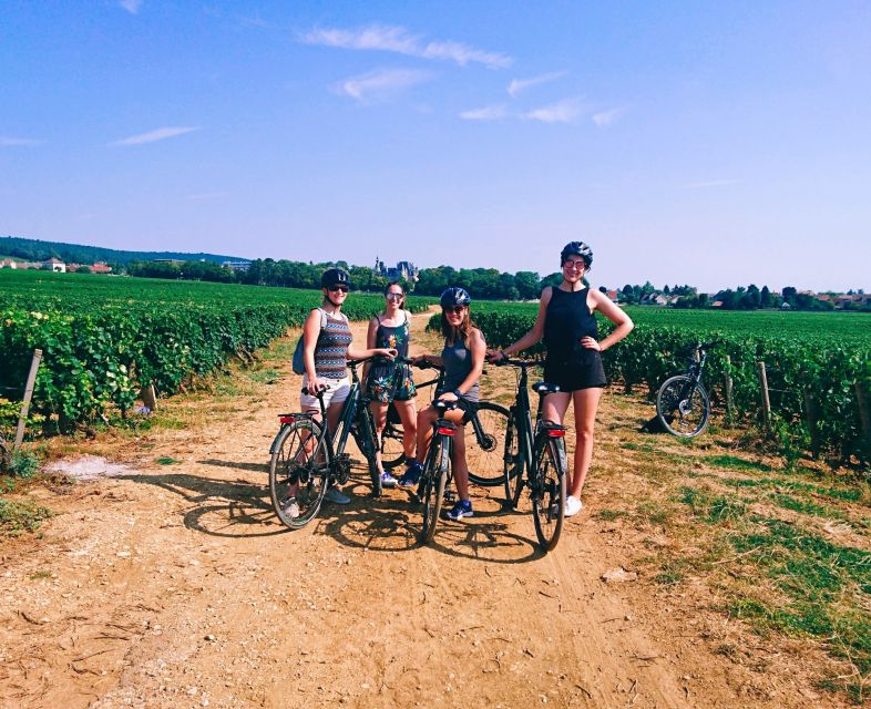 Dijon: Half-Day Guided Gourmet Bike Tour - Practical Details: Meeting Point and Group Size
