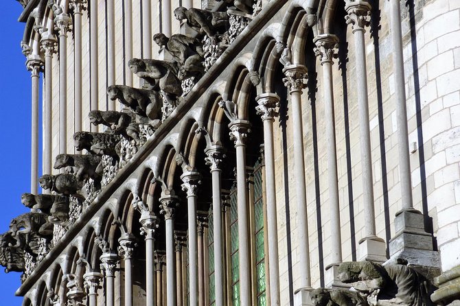 Dijon - Historic Guided Walking Tour - Exploring the Tour’s Practical Aspects