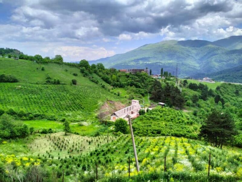 Dilijan: Armenian Wine Tasting at ACOL Ethnic Manor - Guided Wine Tasting and Local Snacks