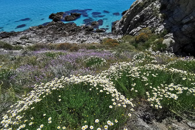 Dinghy Excursion - Exclusive Private Adventure - The Experience of the Guides and Their Stories