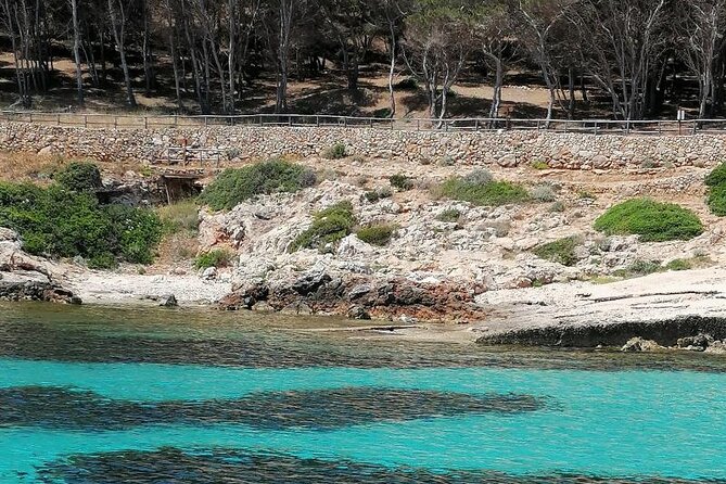 Dinghy excursion to the Egadi Islands with tasting on board - Onboard Sicilian Cuisine and Open Bar