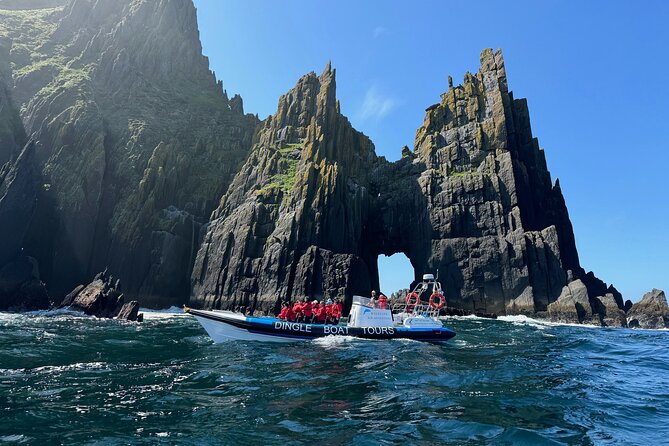 Dingle Boat Tours RIB Adventure Private - Discover the Dingle RIB Adventure: An Intimate Marine Experience