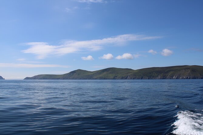 Dingle Dolphin Blasket Adventures - Dingles Long-Running Boat Tour with Natural Wonders