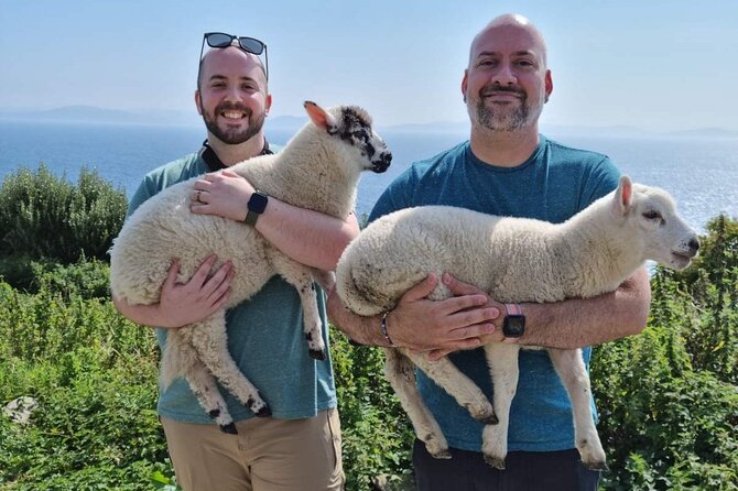 Dingle: Hour Slea Head Drive Tour 4hr - Personal Chauffeur Guide - Slea Head Drive and the Blasket Islands Viewpoint