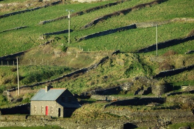 Dingle: Hour Slea Head Drive Tour 4hr - Personal Chauffeur Guide - Coumeenoole Beach and Scenic Headlands