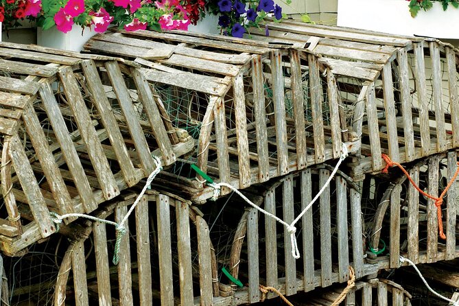 Dingle Peninsula and Slea Head Day Tour - Guides Known for Knowledge and Humor