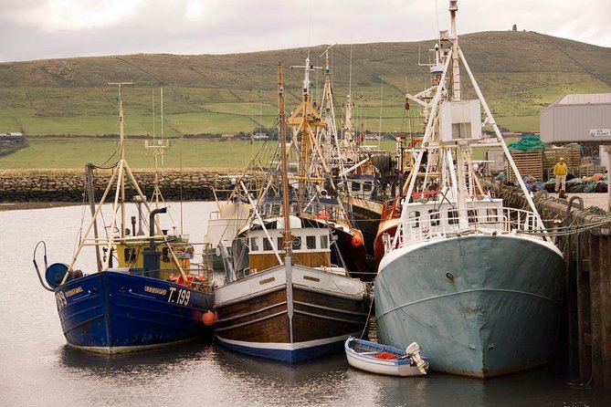 Dingle Peninsula Day Tour from Killarney: Including The Wild Altanic Way - The Value and Price Point