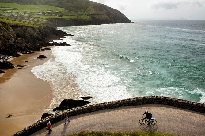 Dingle Peninsula Day Tour from Limerick: Including The Wild Altanic Way - Exploring Dingle: The Town and Its Famous Resident