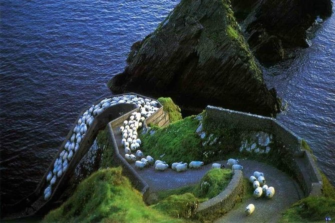 Dingle Peninsula Four Hour Private Tour - The Private Experience with All Transportation