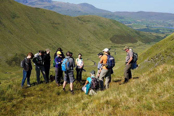 Dingle Peninsula Guided Walking Tour - Who Will Enjoy This Guided Walking Tour Most?