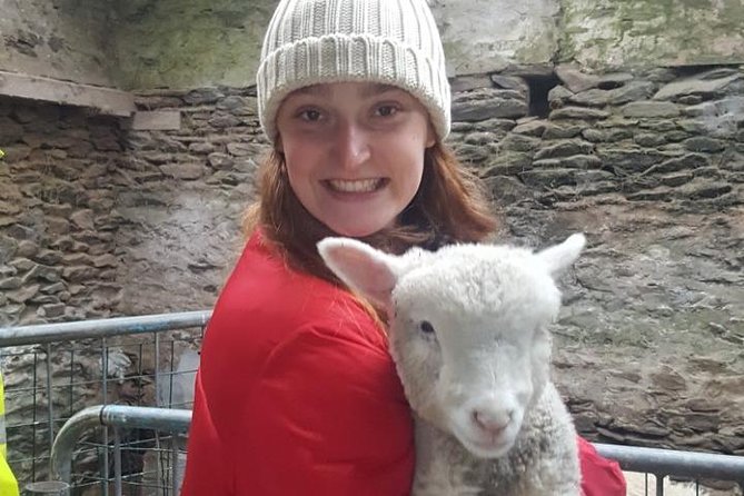 Dingle: Slea Head Drive Tour Full Day - Personal Chauffeur Guide - Artistic and Cultural Break at Louis Mulcahy Pottery