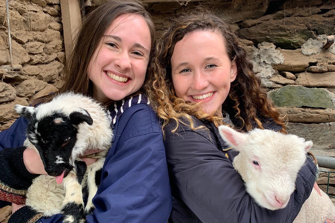 Dingle Town & Peninsula Private Chauffeur Driven Day Tour From Killarney Luxury - Conor Pass: A Breathtaking Scenic Drive