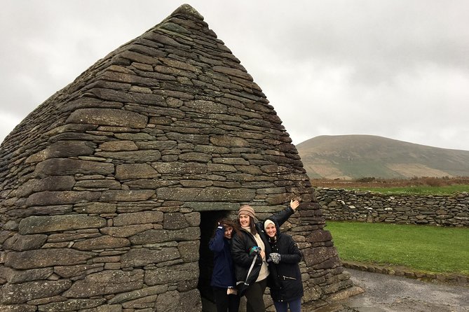 Dingle Town & Peninsula Private Chauffeur Driven Day Tour From Killarney Luxury - Lunch, Refreshments, and Local Food Options