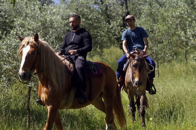 Dining Experience at a local's Home in Impruneta with Show Cooking - Flexible Timing: Lunch or Dinner Experience