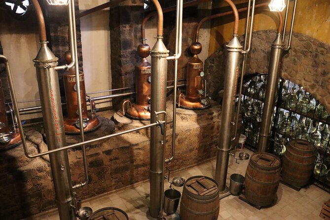 Dinner and Party in Amatitán Tequila and Tradition and Music - Key Points