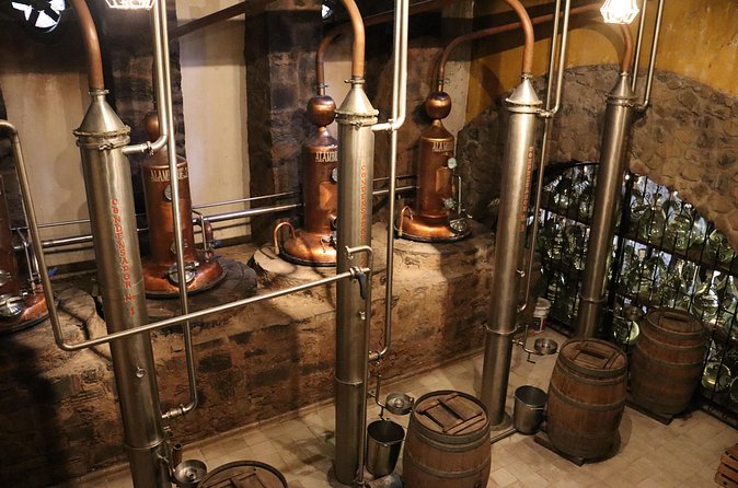 Dinner and Party in Amatitán Tequila and Tradition and Music - Clear Booking and Cancellation Policies