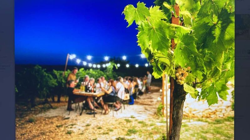 Dinner in the vineyard and wine tasting under the stars - Key Points