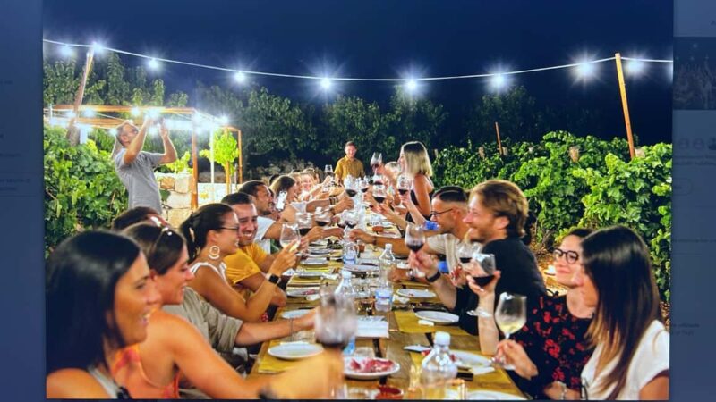 Dinner in the vineyard and wine tasting under the stars - The Setting: Dinner in a Vineyard in Martina Franca