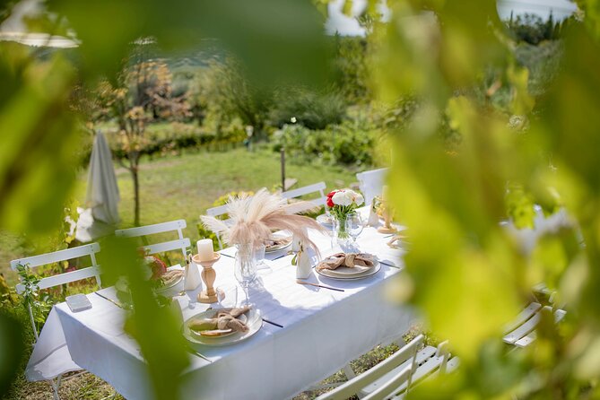 Dinner in the Vineyard French Riviera - Group Sizes and Meeting Details