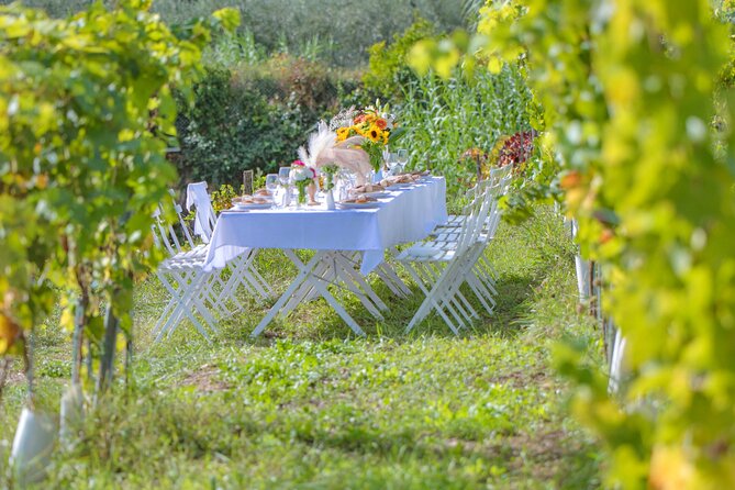Dinner in the Vineyard French Riviera - Logistics and Accessibility