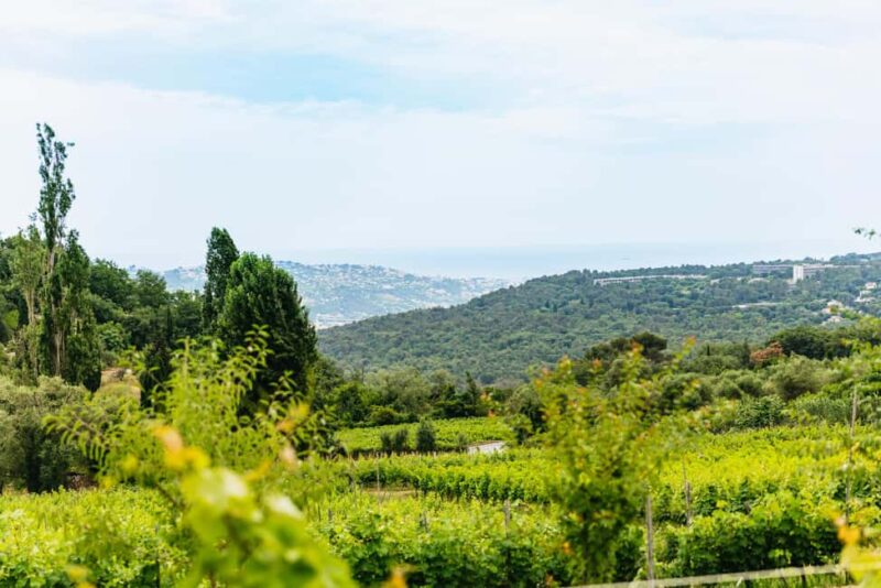 Dinner in the vineyard French Riviera - Frequently Asked Questions