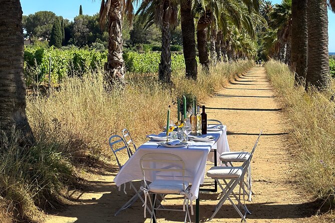 Dinner in the Vineyard Saint Tropez - An Exclusive Vineyard Dining Experience in Saint-Tropez for $334.05