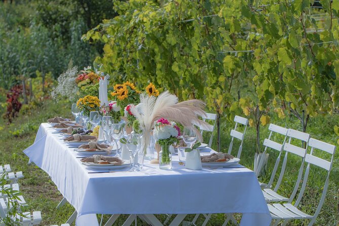 Dinner in the Vineyard Saint Tropez - Scenic Vineyards and Gardens as the Perfect Setting
