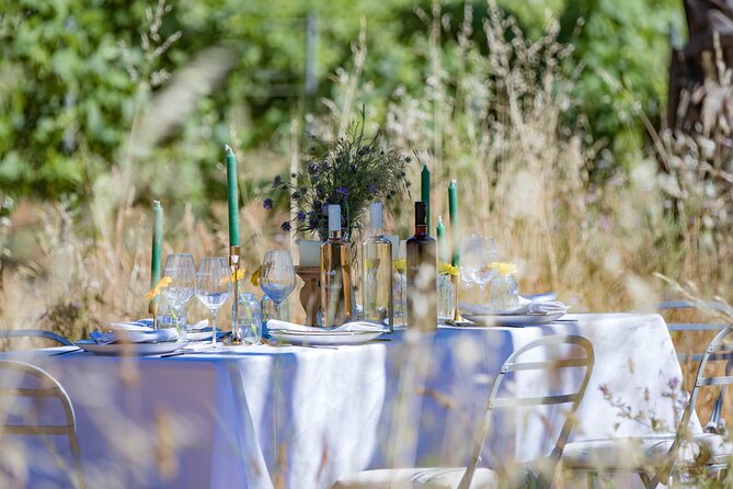 Dinner in the Vineyard Saint Tropez - Wine Tasting in a Picturesque Setting