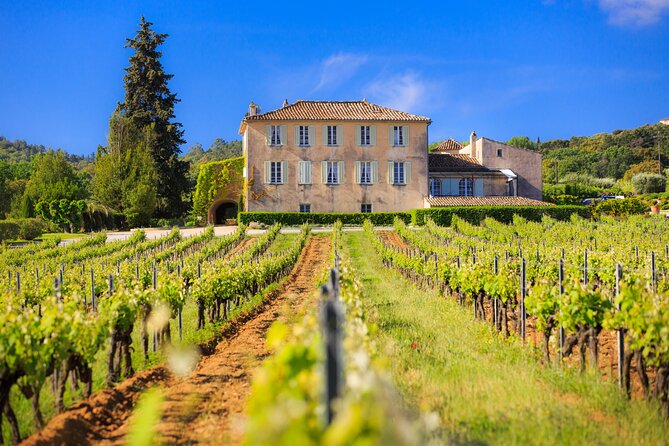 Dinner in the Vineyard Saint Tropez - Meeting Point and Accessibility